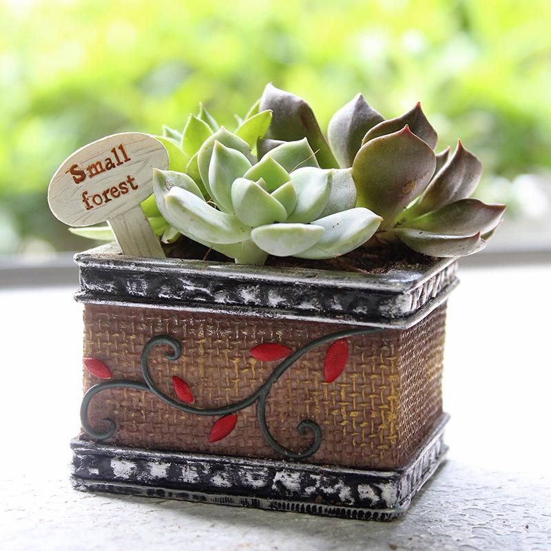 Chậu cây mọng nước mini resin phong cách hoạt hình, chậu để bàn văn phòng, trang trí tiểu cảnh (RG-91)