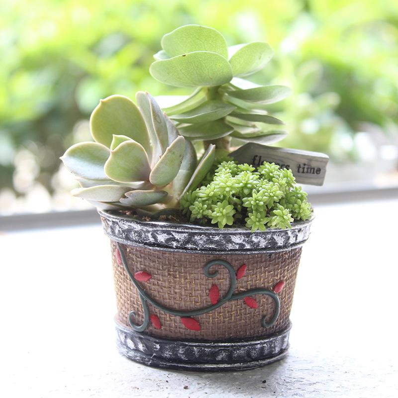 Chậu cây mọng nước mini resin phong cách hoạt hình, chậu để bàn văn phòng, trang trí tiểu cảnh (RG-91)