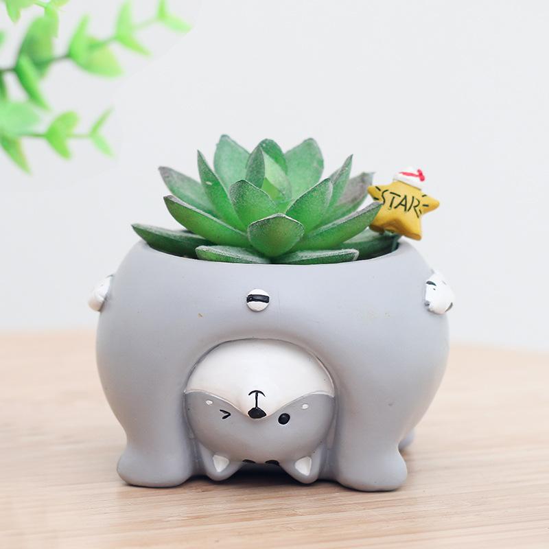 Chậu cây mọng nước hình heo resin, chậu mini để bàn, đồ trang trí và quà tặng (RG-133)
