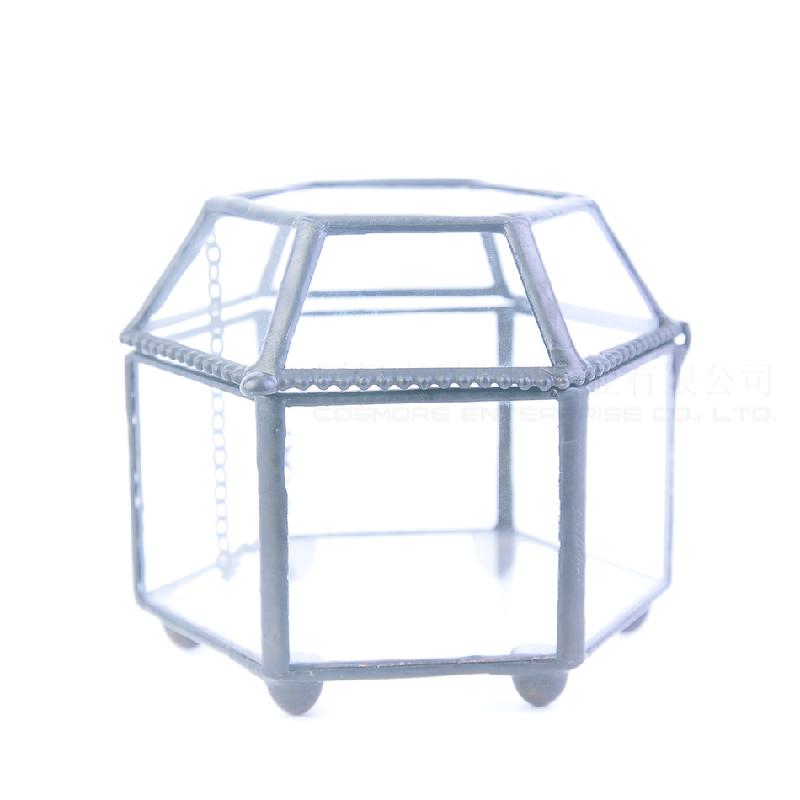 Nhà kính 6 mặt Terrarium rêu cảnh (DG-160)