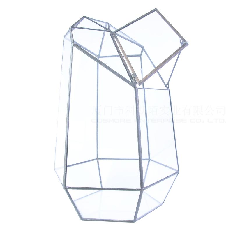 Nhà kính 6 mặt lớn có cửa, chậu sen đá (DG-70)