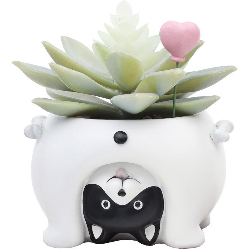 Chậu cây mọng nước hình heo resin, chậu mini để bàn, đồ trang trí và quà tặng (RG-133)