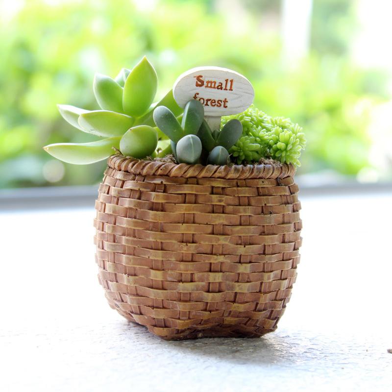 Chậu cây mọng nước mini resin phong cách hoạt hình, chậu để bàn văn phòng, trang trí tiểu cảnh (RG-91)