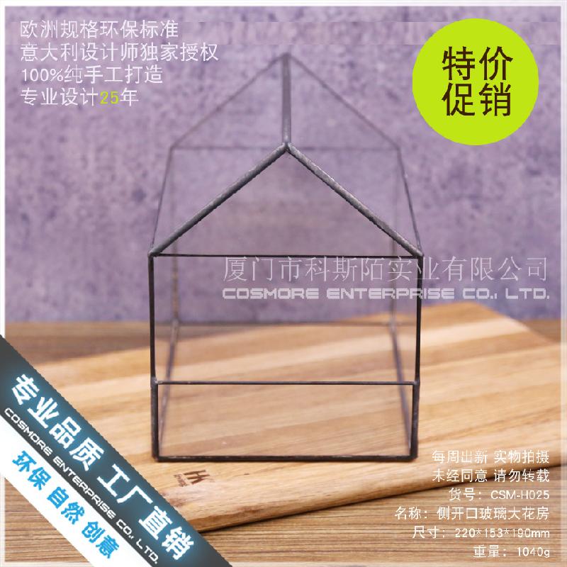 Nhà kính mở bên lớn Terrarium (DG-220)