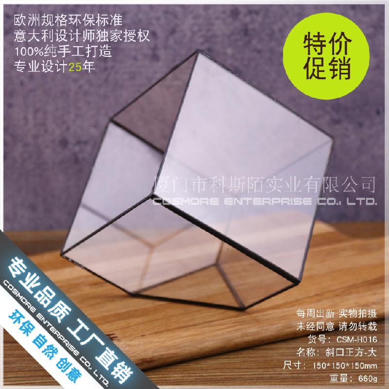 Nhà kính vuông lớn nắp kính, rêu cảnh (DG-73)