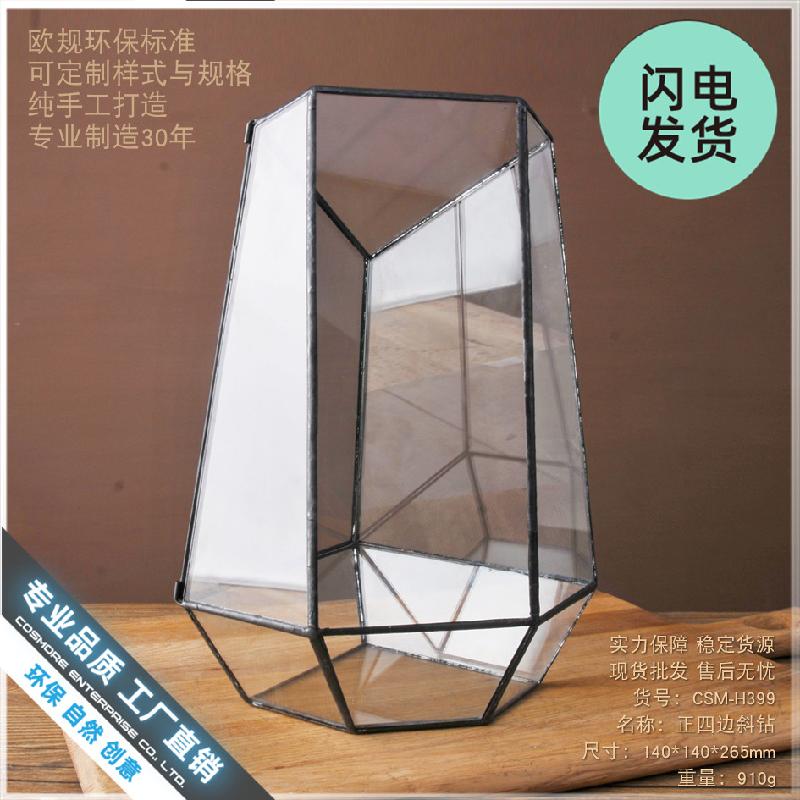 Bình sinh thái cây xanh mini (DG-10)