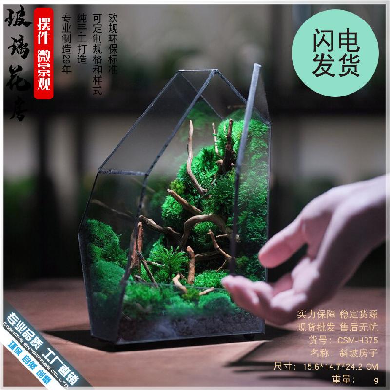 Bể rừng mưa Terrarium kính (DG-34)