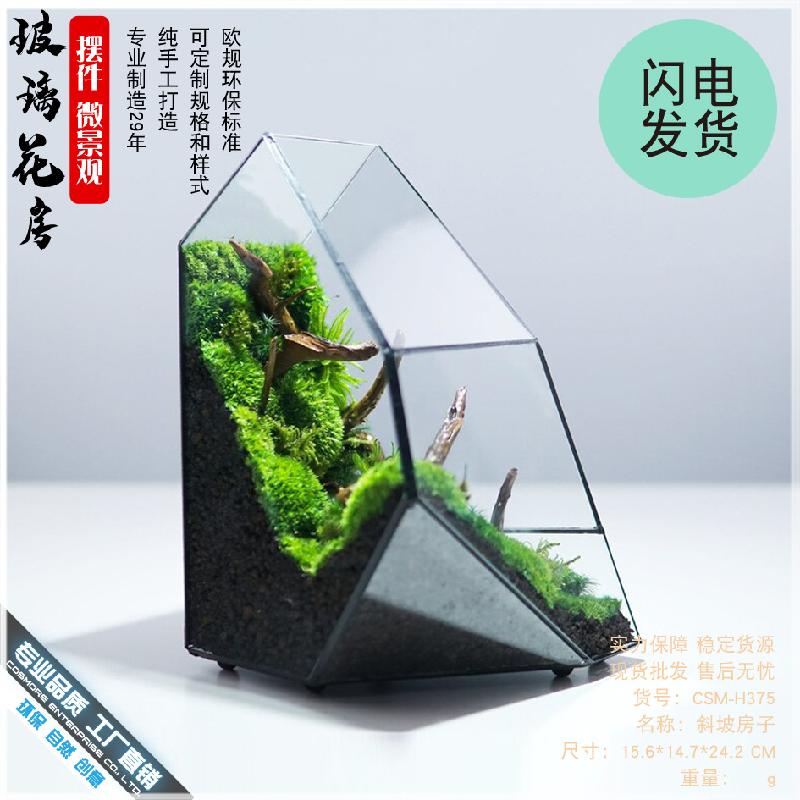 Bể rừng mưa Terrarium kính (DG-34)