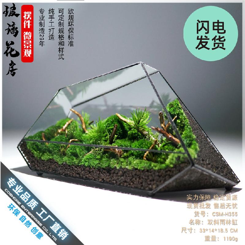 Nhà kính mini tạo cảnh rừng mưa (DG-2)