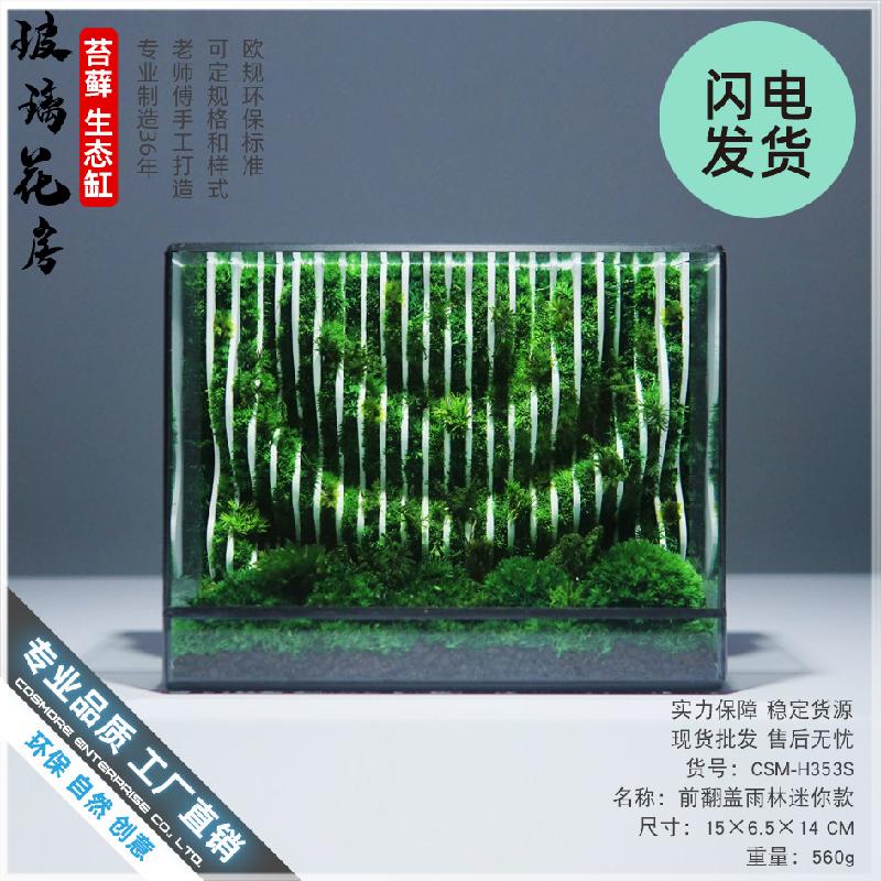 Bể kính rêu cảnh thủy sinh (DG-25)