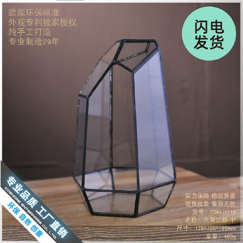 Bể kính rêu cảnh 6 mặt (DG-31)
