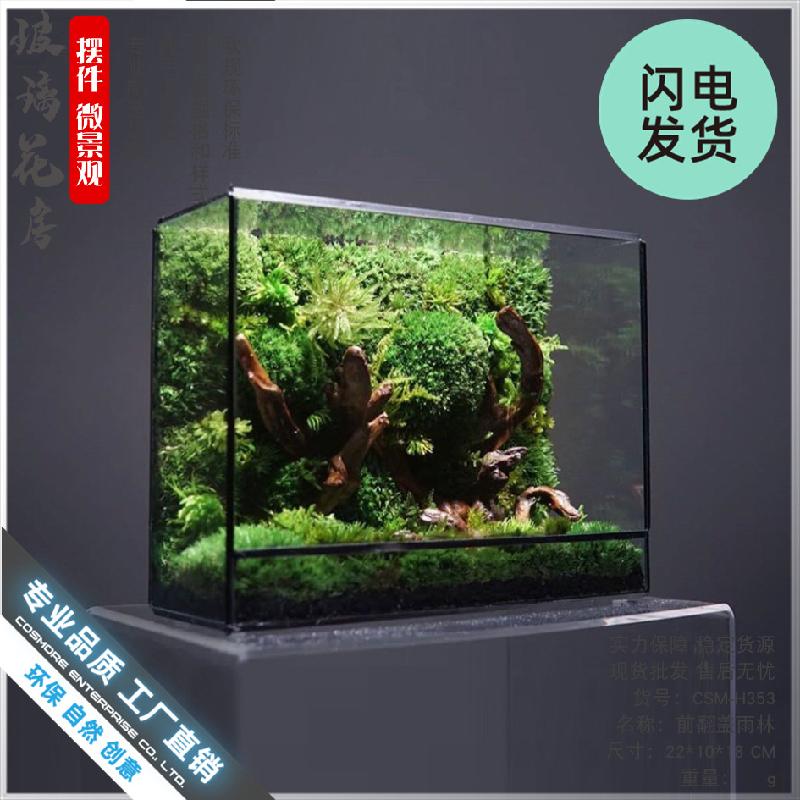 Nhà kính Terrarium hình học rêu cảnh (DG-11)