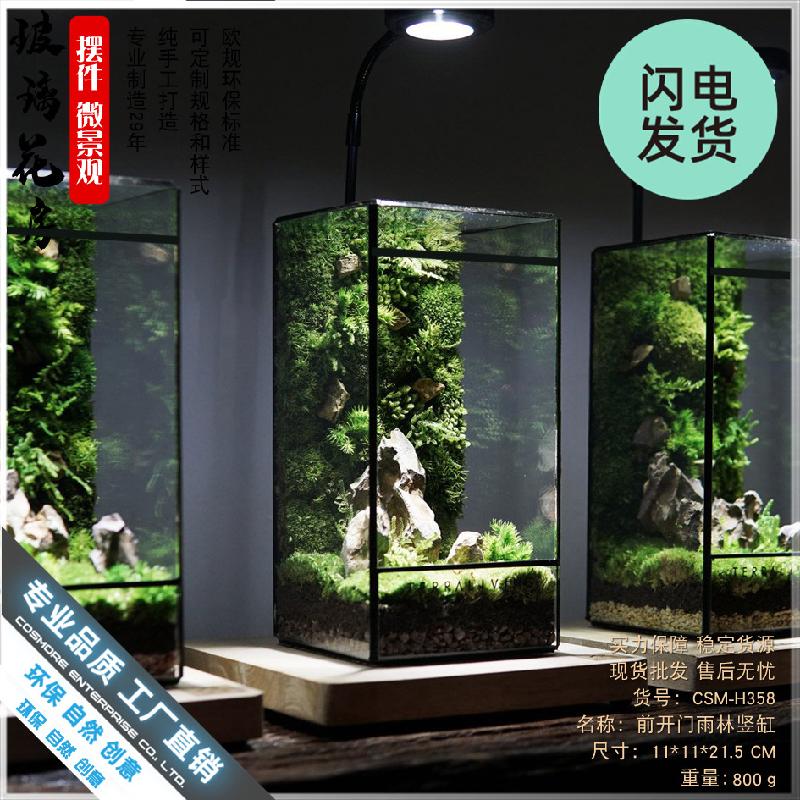 Bể kính mini hệ sinh thái rêu cảnh (DG-1)