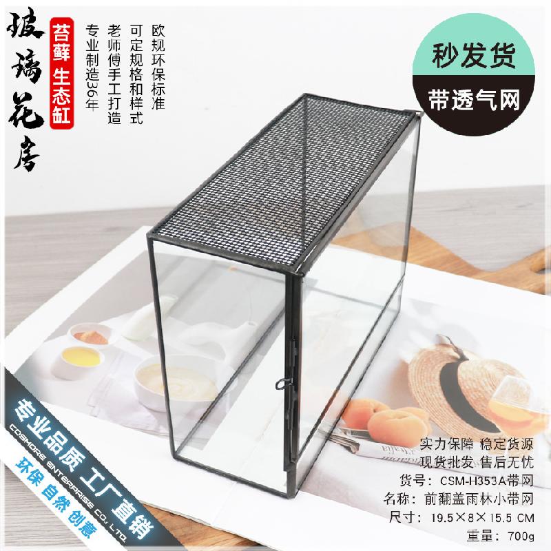 Bể rêu cảnh hệ sinh thái để bàn (DG-6)