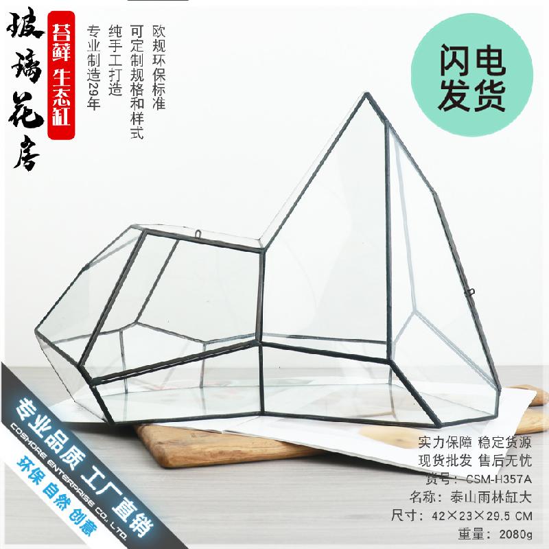 Bể rêu cảnh rừng nhiệt đới hình học (DG-61)