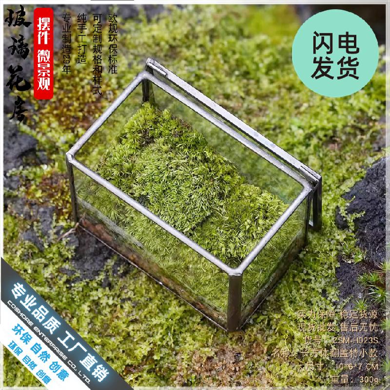 Hộp kính Terrarium rêu cảnh để bàn (DG-13)