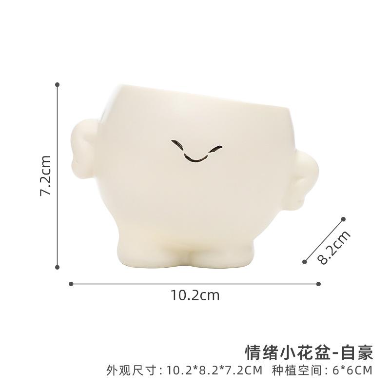 Chậu cây mọng nước mặt biểu cảm hoạt hình resin, chậu mini để bàn, trang trí sân vườn (RG-65)