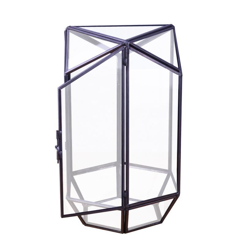 Hộp kính rêu cảnh, hộp quà cây cảnh (DG-181)