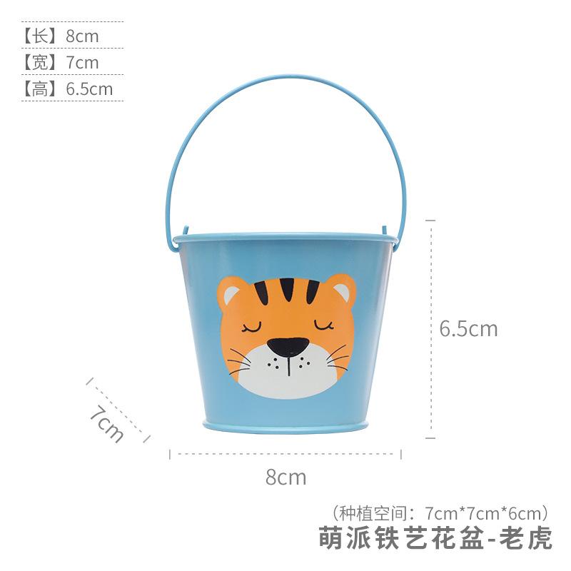Chậu cây mọng nước hoạt hình mini, chậu sắt để bàn, trang trí ban công và tiểu cảnh (RG-129)
