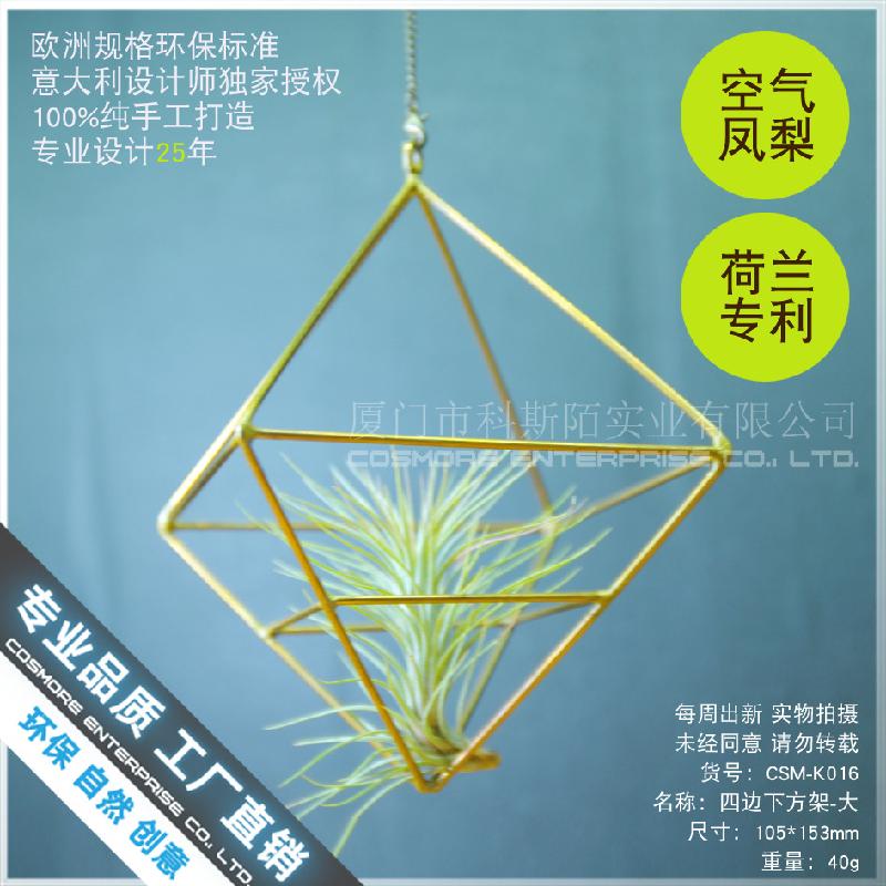 Nhà kính kim cương, chậu cây không khí (DG-172)
