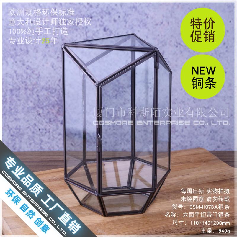 Hộp kính rêu cảnh, hộp quà cây cảnh (DG-181)