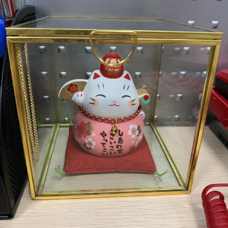 Bình kính Terrarium hình học đặt bàn (DG-83)