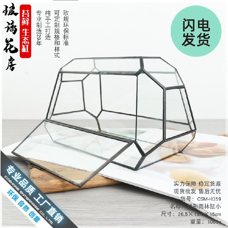 Bình kính rừng mini Terrarium (DG-5)