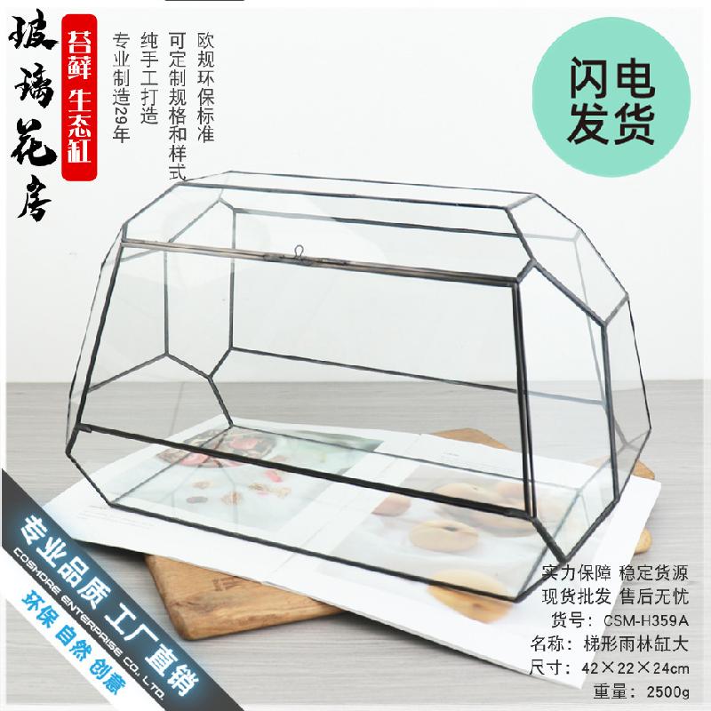 Bể kính thủy sinh Terrarium, bể rừng mưa mini (DG-56)