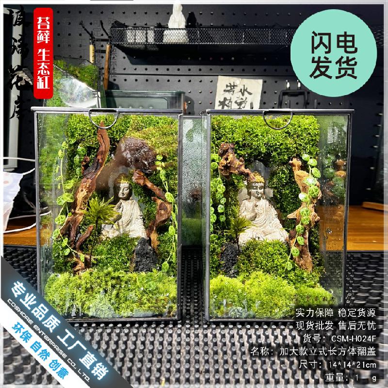 Bình Terrarium rêu cảnh DIY (DG-8)