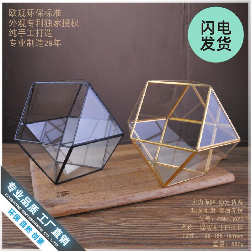Bình sinh thái rêu cảnh DIY (DG-224)