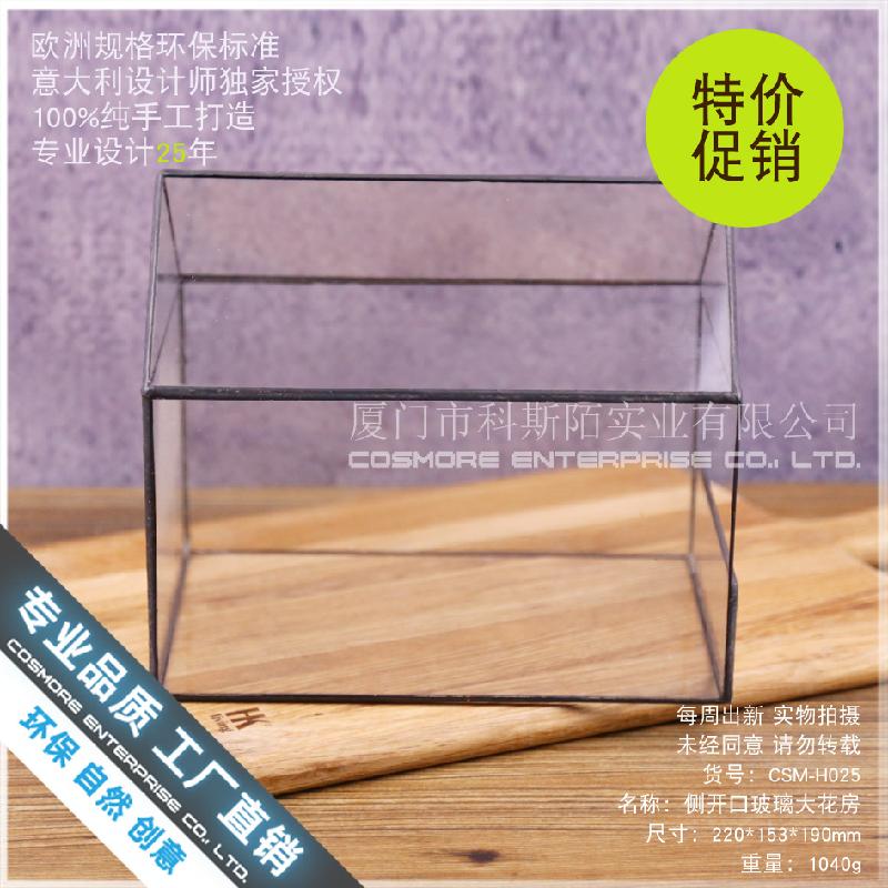 Nhà kính mở bên lớn Terrarium (DG-220)