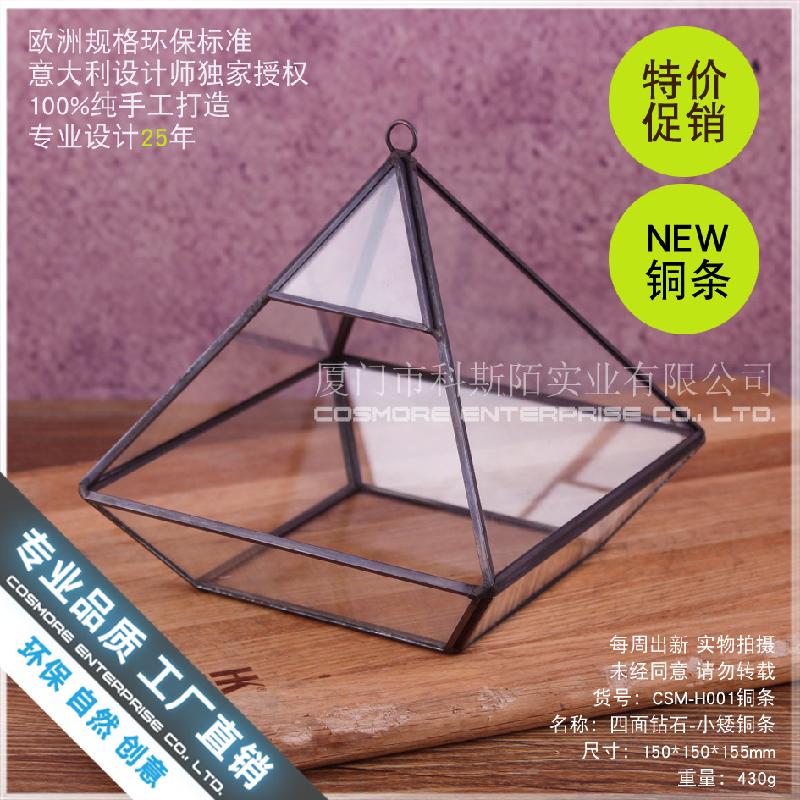 Bình sinh thái rêu cảnh DIY (DG-224)