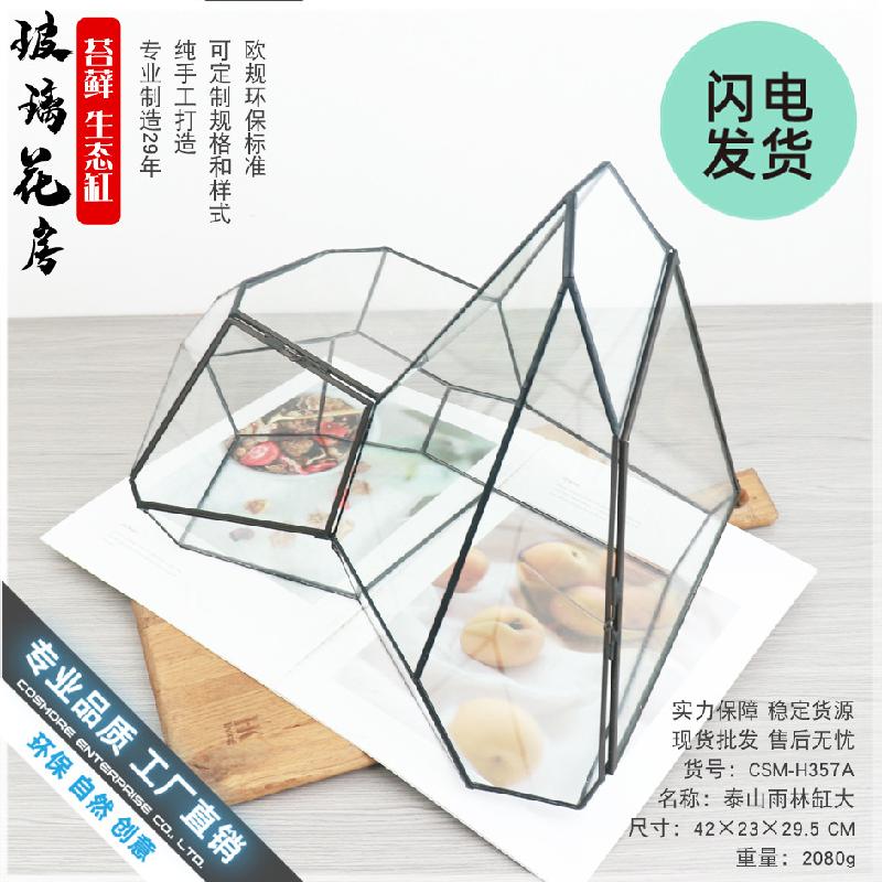 Bể rêu cảnh rừng nhiệt đới hình học (DG-61)