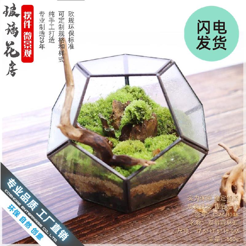 Nhà kính 12 mặt Terrarium rêu cảnh (DG-17)