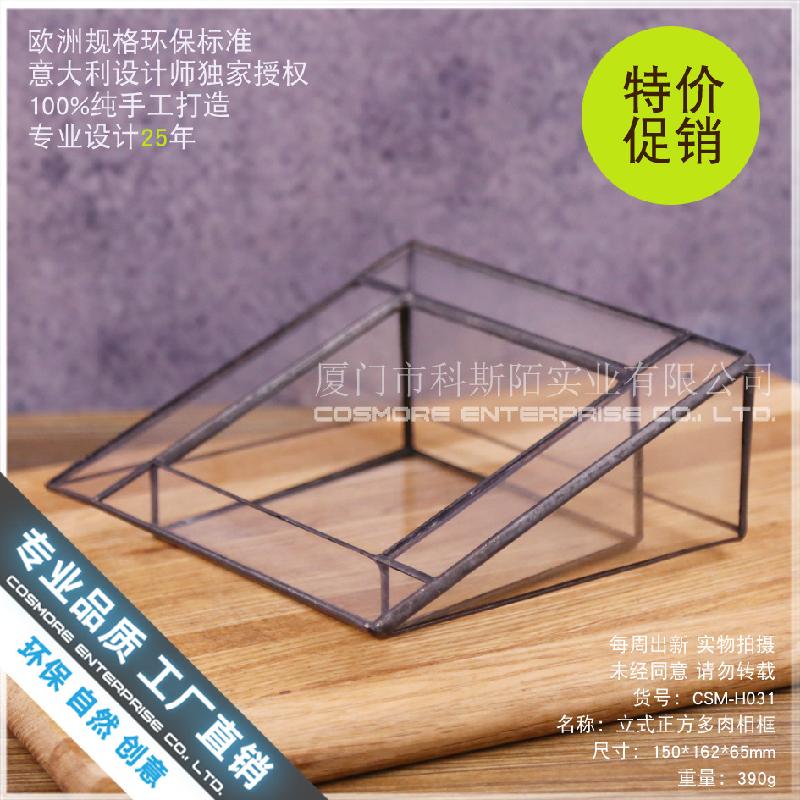 Nhà kính vuông đứng Terrarium, chậu sen đá mini (DG-53)