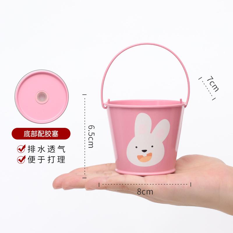 Chậu cây mọng nước hoạt hình mini, chậu sắt để bàn, trang trí ban công và tiểu cảnh (RG-129)