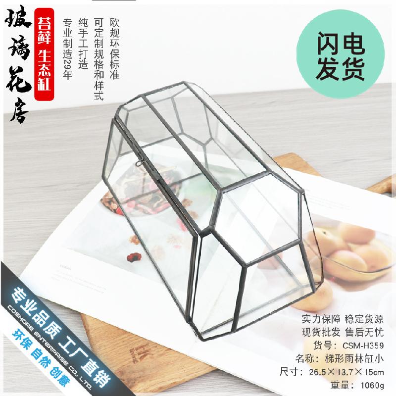 Bình kính rừng mini Terrarium (DG-5)