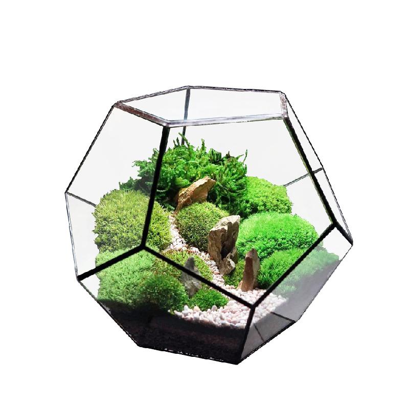 Nhà kính 12 mặt lớn, bể rêu cảnh mini (DG-54)
