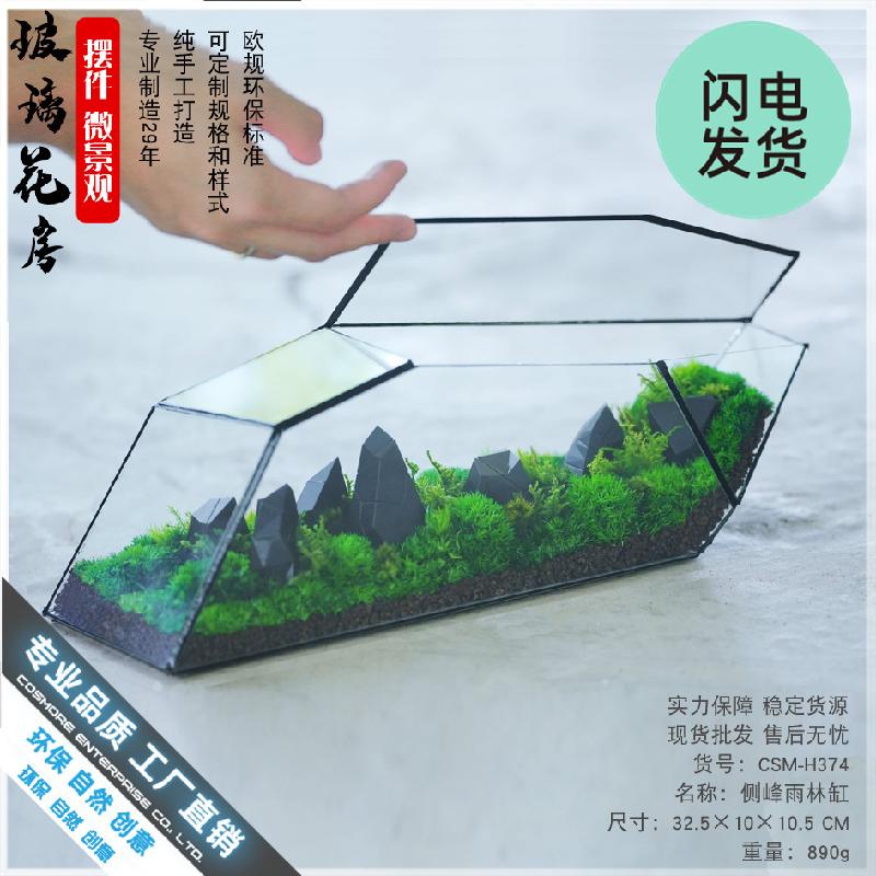 Bể Terrarium rêu cảnh, tường cây, bể cá kính (DG-64)