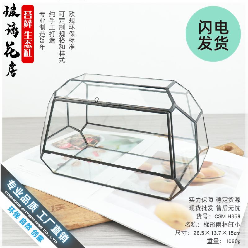 Bình kính rừng mini Terrarium (DG-5)