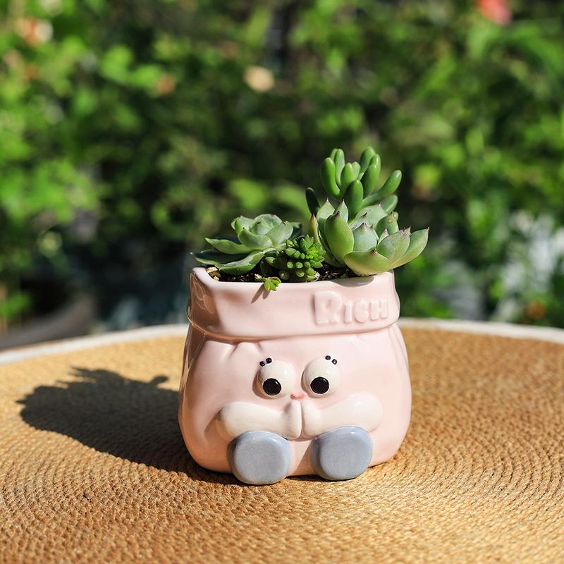 Chậu cây mọng nước bằng gốm hoạt hình, chậu mini để bàn, trang trí sân vườn và nhà (RG-135)