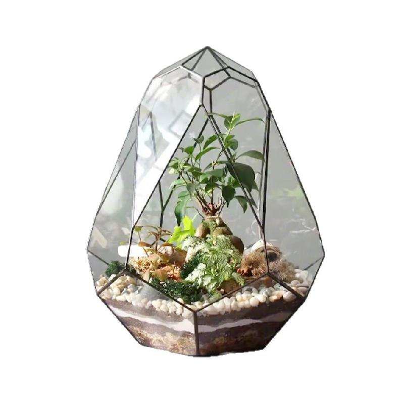 Bình sinh thái rêu cảnh hình học (DG-33)