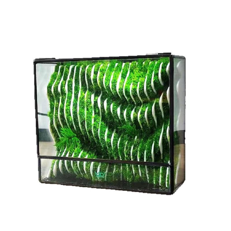 Nhà kính Terrarium hình học rêu cảnh (DG-11)