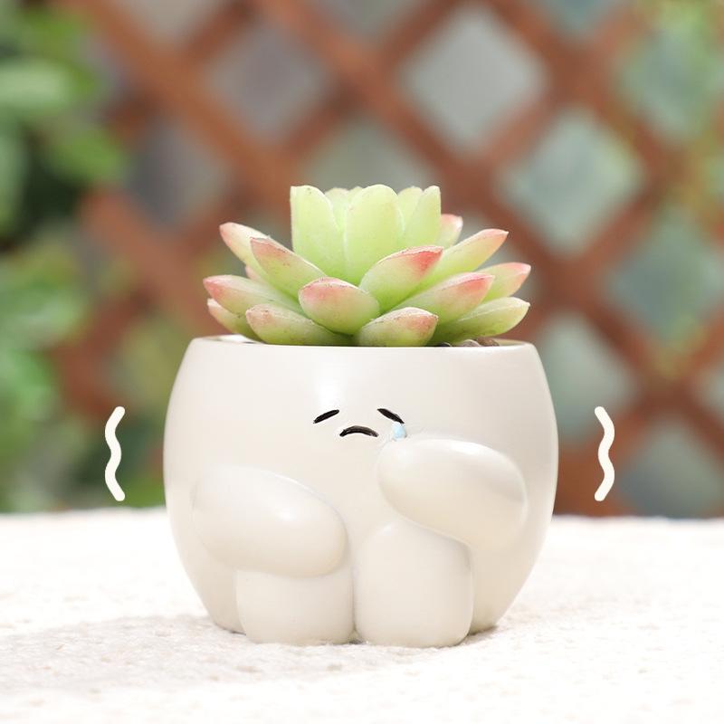 Chậu cây mọng nước mặt biểu cảm hoạt hình resin, chậu mini để bàn, trang trí sân vườn (RG-65)