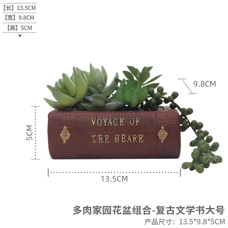 Chậu cây mini phong cách vintage, chậu cây mọng nước trang trí bàn, sân vườn và tiểu cảnh (RG-64)
