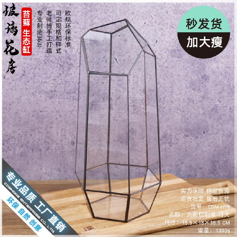 Nhà kính 6 mặt cắt lớn Terrarium (DG-230)