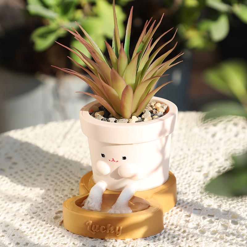Chậu cây tự tưới tự hút nước, chậu cây mọng nước mini, chậu mặt cười trang trí nhà (RG-149)