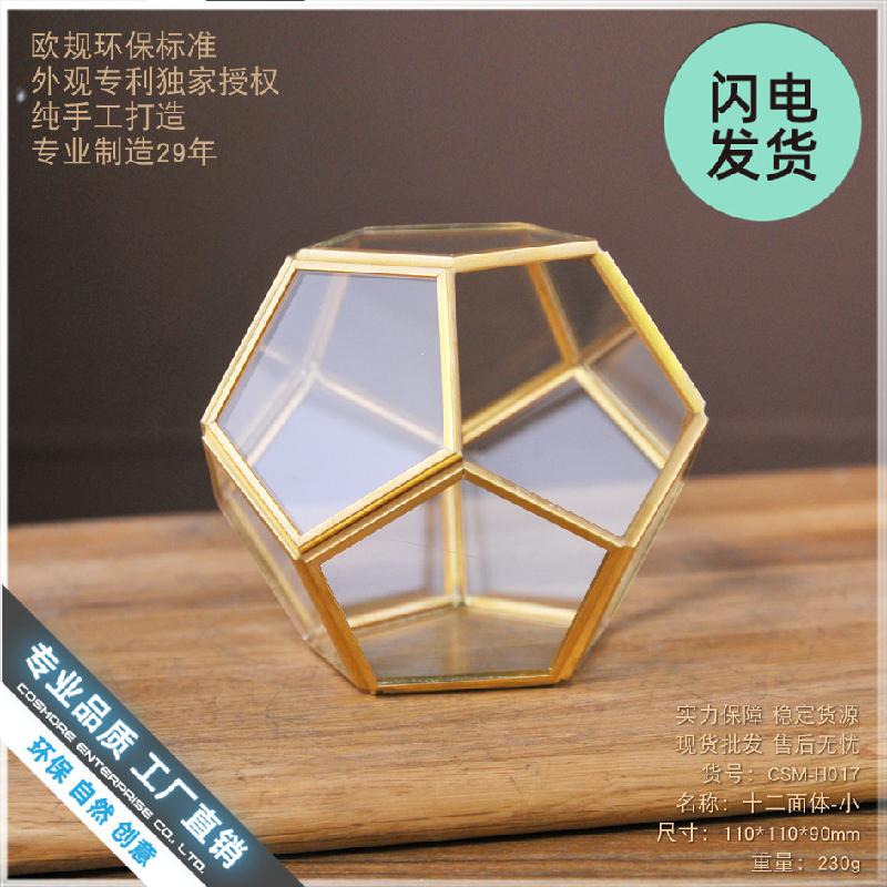 Nhà kính 12 mặt Terrarium sen đá (DG-229)