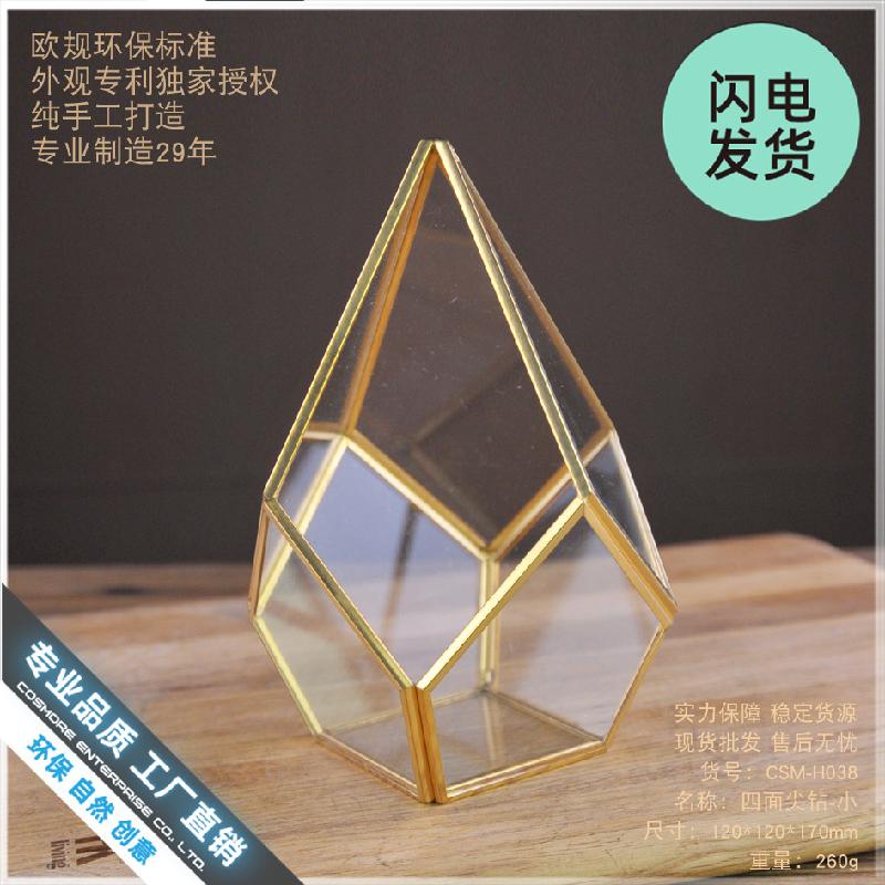 Bình hoa kính trong suốt đa năng, chậu sen đá, tiểu cảnh mini (DG-50)