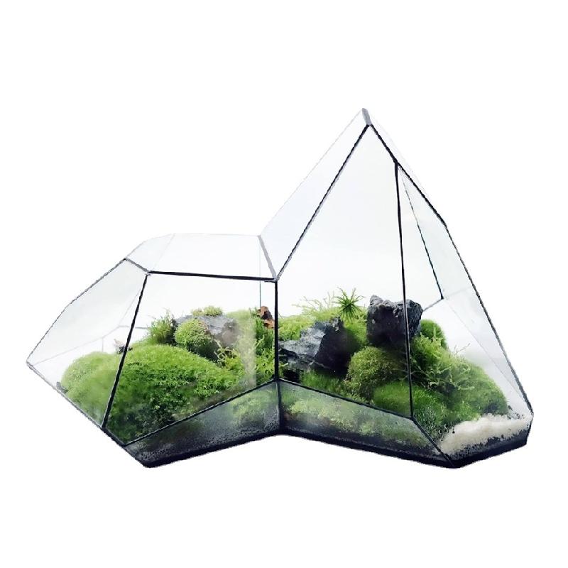 Bể rêu cảnh rừng mưa mini (DG-15)